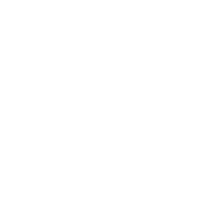 nextjs Icon